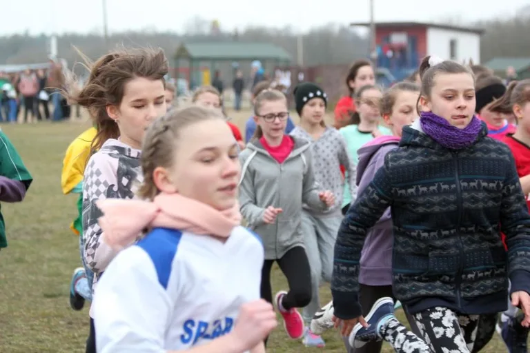 Międzypowiatowe biegi przełajowe (zdjęcia, wideo)