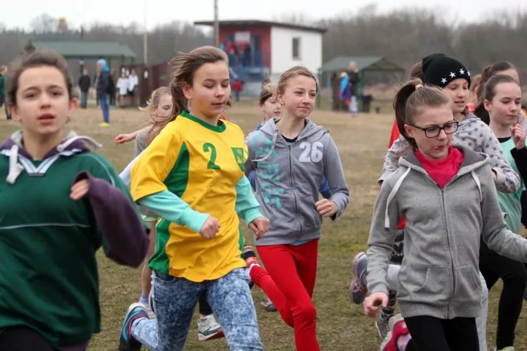 Międzypowiatowe biegi przełajowe (zdjęcia, wideo)