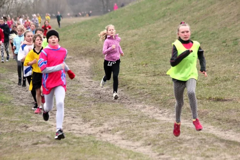 Międzypowiatowe biegi przełajowe (zdjęcia, wideo)