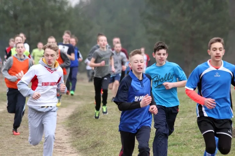Międzypowiatowe biegi przełajowe (zdjęcia, wideo)