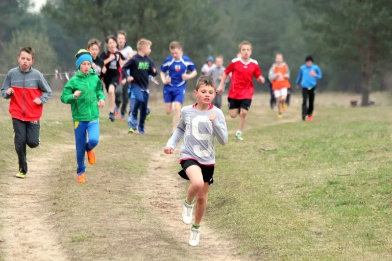Międzypowiatowe biegi przełajowe (zdjęcia, wideo)