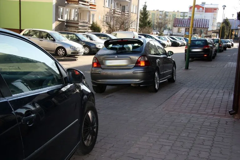 Kolejni mistrzowie parkowania (zdjęcia)