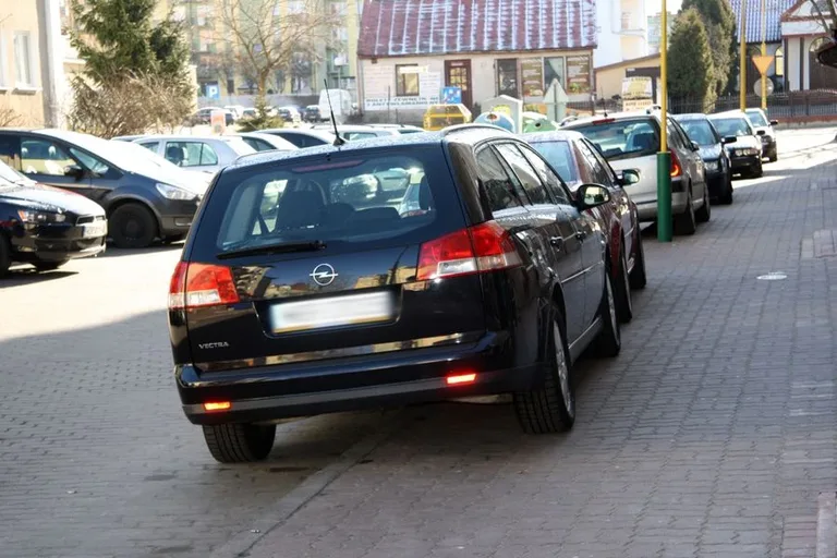Kolejni mistrzowie parkowania (zdjęcia)