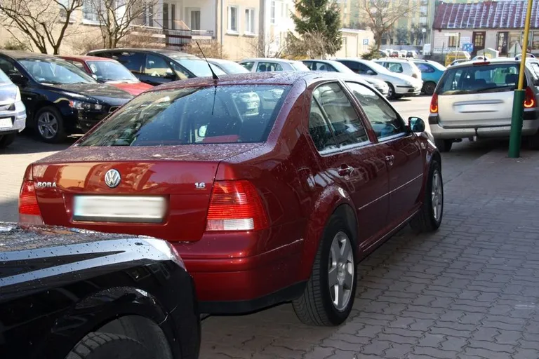 Kolejni mistrzowie parkowania (zdjęcia)