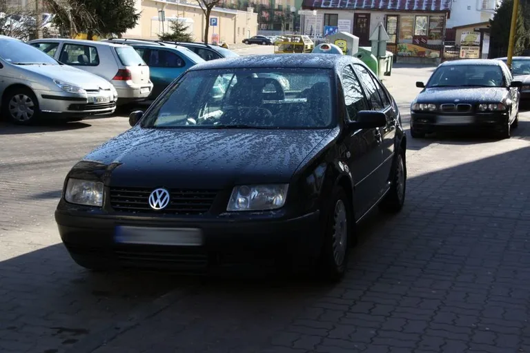 Kolejni mistrzowie parkowania (zdjęcia)