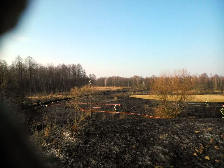 Ogromny pożar w Kleczkowie (zdjęcia, wideo)