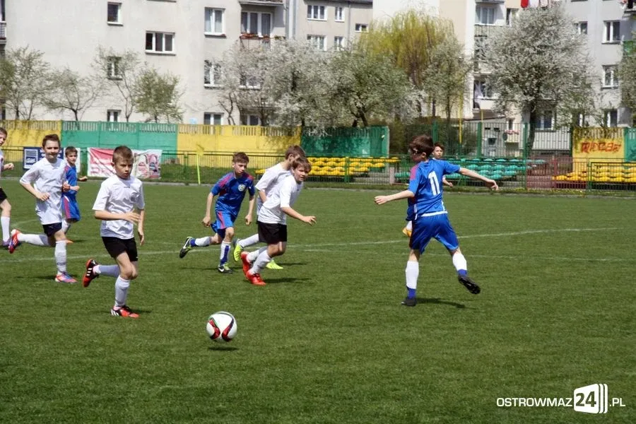 Akademia lepsza od Narwi (zdjęcia)