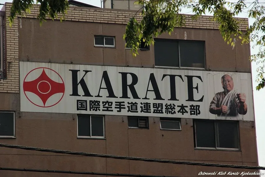Ważny dzień karateków w Tokio (zdjęcia)