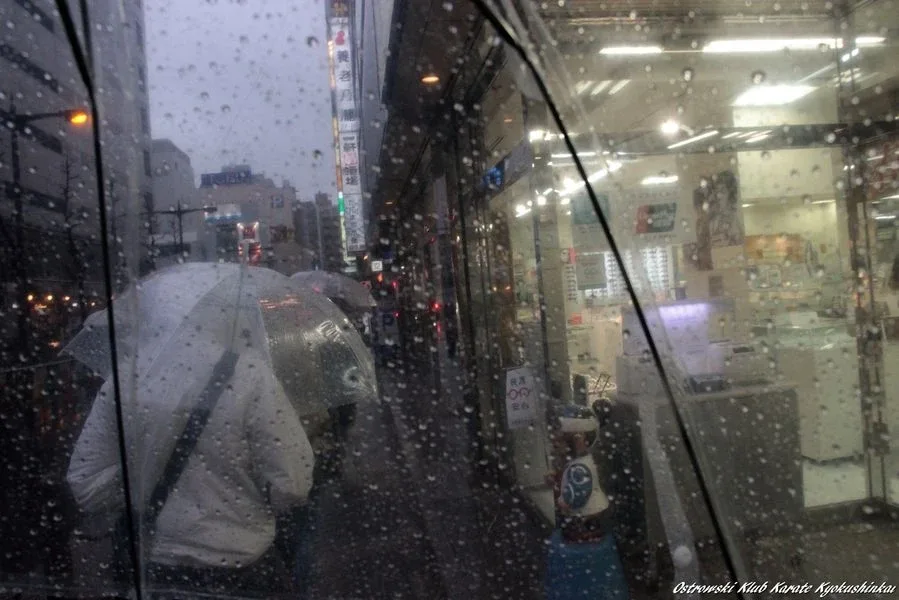 Drugi dzień karateków w Tokio (zdjęcia)