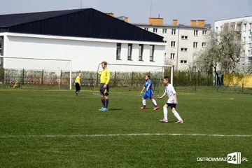 Następne zdjęcie