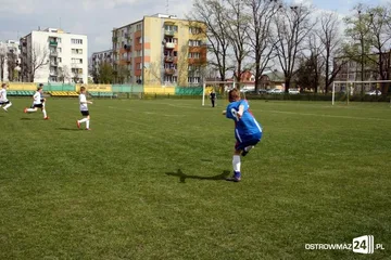 Następne zdjęcie