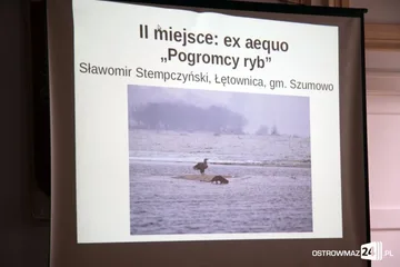 Poprzednie zdjęcie