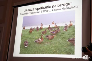 Poprzednie zdjęcie