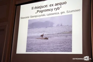 Następne zdjęcie