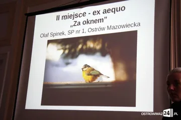 Następne zdjęcie