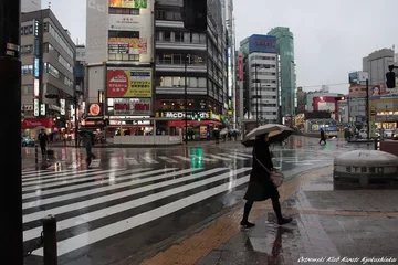 Drugi dzień karateków w Tokio (zdjęcia)