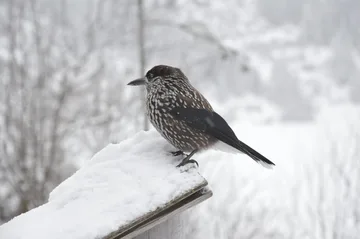 Podsumowanie konkursu 'Ludzi z pasją' (zdjęcia)