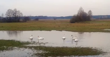 Następne zdjęcie