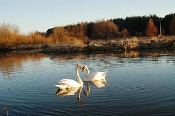 Następne zdjęcie