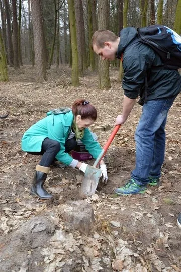 Poprzednie zdjęcie