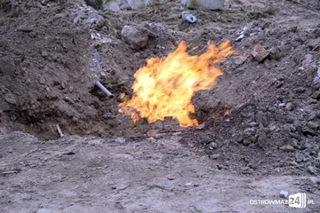 Poprzednie zdjęcie
