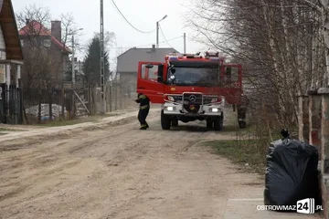 Poprzednie zdjęcie