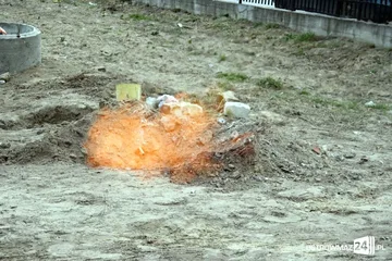 Poprzednie zdjęcie