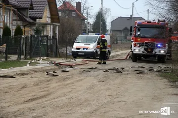 Poprzednie zdjęcie