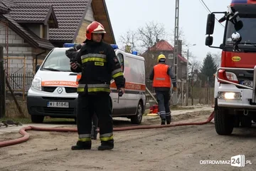 Następne zdjęcie