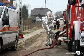 Poprzednie zdjęcie