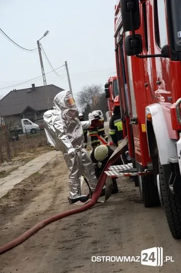 Poprzednie zdjęcie