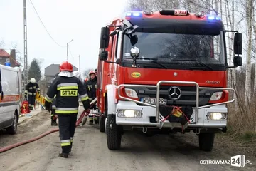 Następne zdjęcie