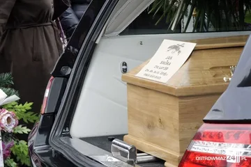 Poprzednie zdjęcie
