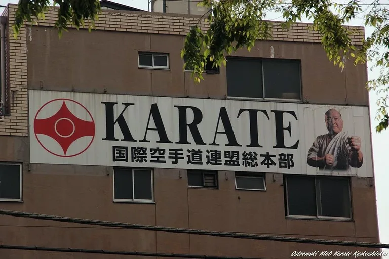 Ważny dzień karateków w Tokio (zdjęcia)