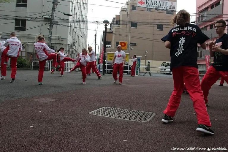 Ważny dzień karateków w Tokio (zdjęcia)
