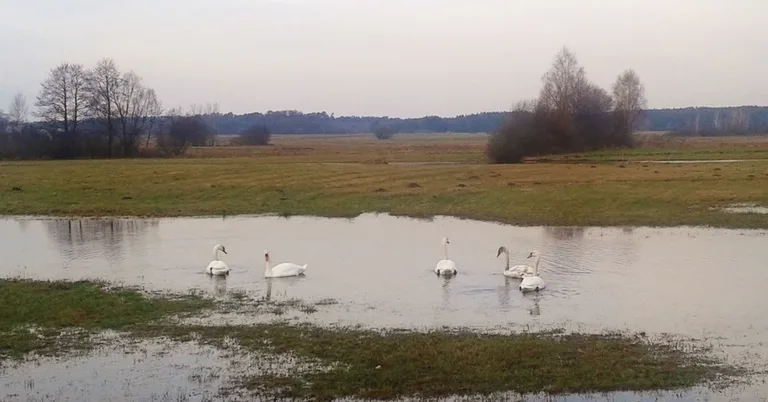 Podsumowanie konkursu 'Ludzi z pasją' (zdjęcia)