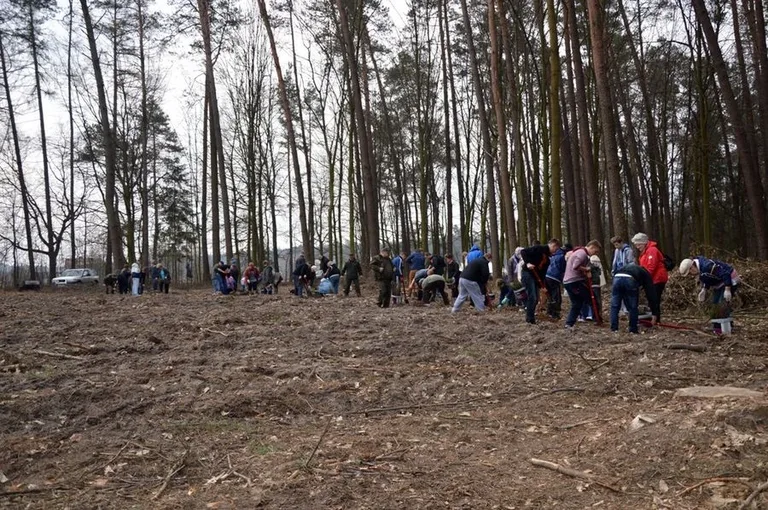 Sadzenie lasu połączyło pokolenia (zdjęcia)