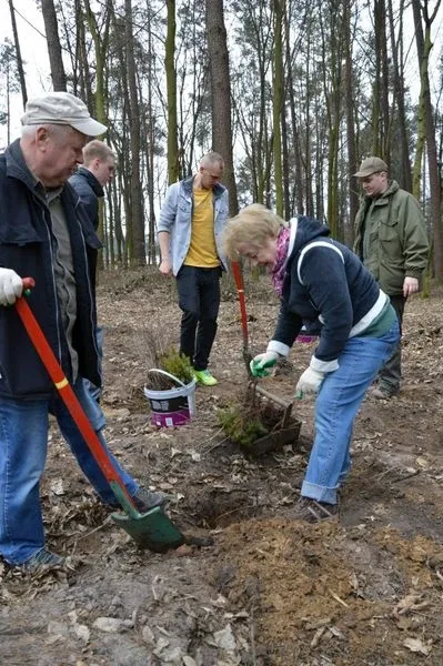 Sadzenie lasu połączyło pokolenia (zdjęcia)
