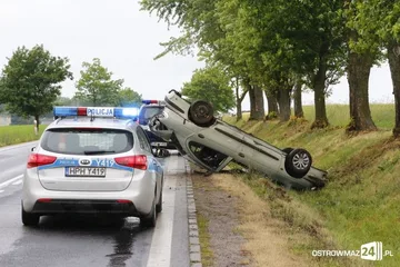 Nowe fakty w sprawie dachowania (zdjęcia)