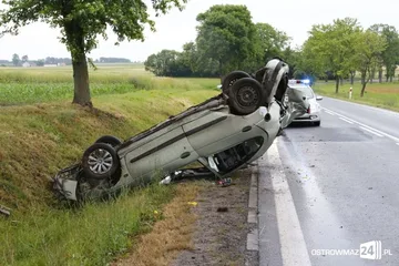Poprzednie zdjęcie