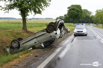 Następne zdjęcie