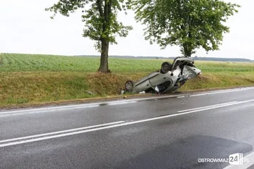 Następne zdjęcie