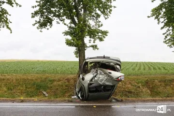 Poprzednie zdjęcie