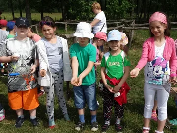 Następne zdjęcie