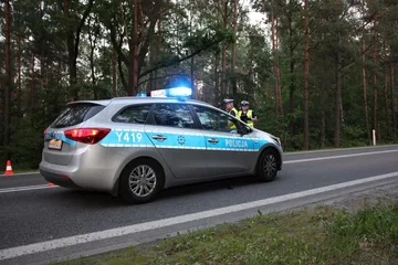 Poprzednie zdjęcie