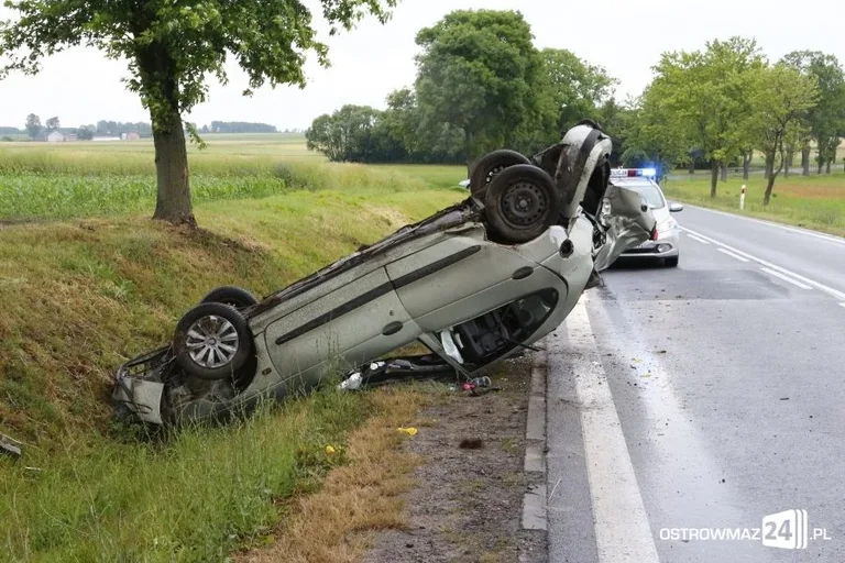 Nowe fakty w sprawie dachowania (zdjęcia)