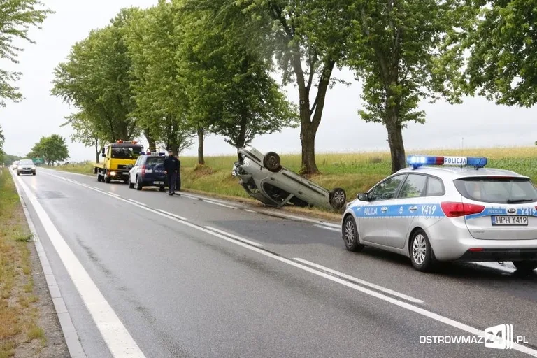 Nowe fakty w sprawie dachowania (zdjęcia)