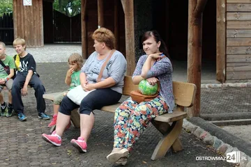 Następne zdjęcie