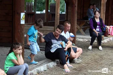 Następne zdjęcie