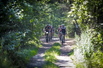Następne zdjęcie